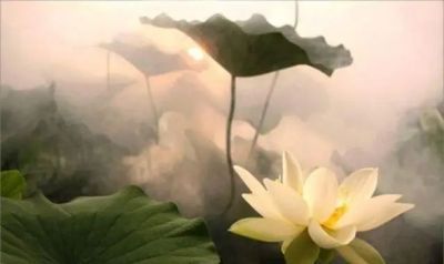 篮球力量的一周训练计划_1
